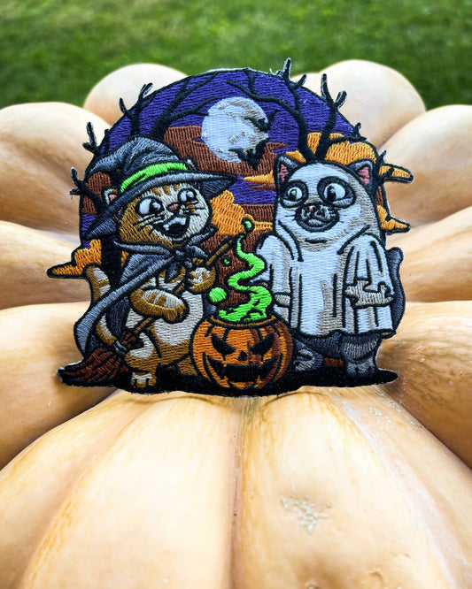 🐈Spooky Cats🎃