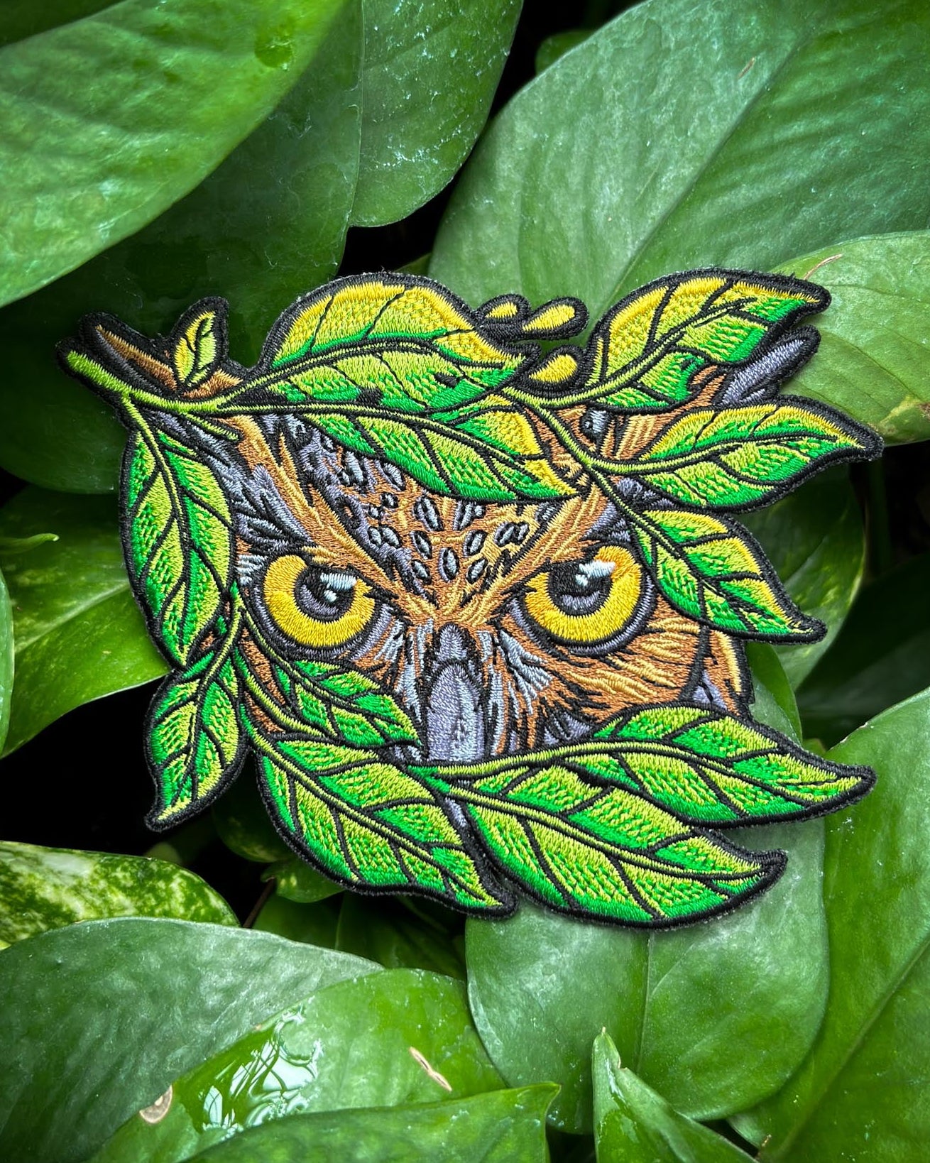 🍃Wild Eyes- GHO🦉