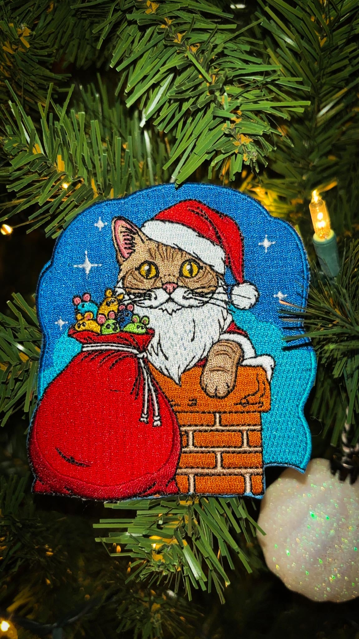 🎅🏼Santa Paws🐈