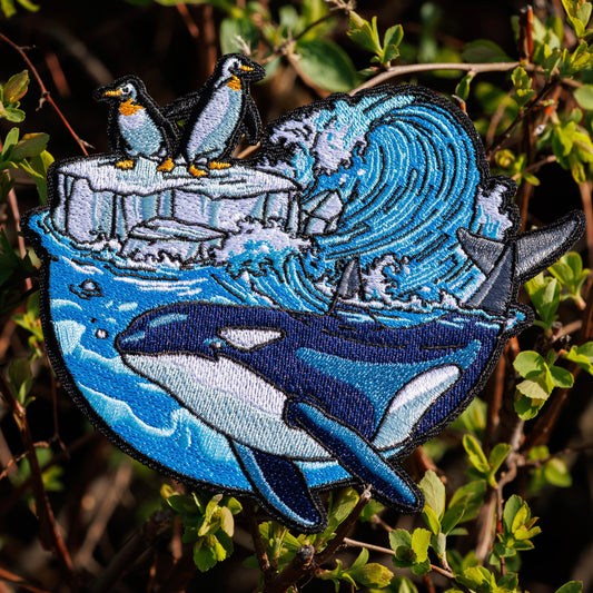 🐋Predator vs Prey- Orca🐧