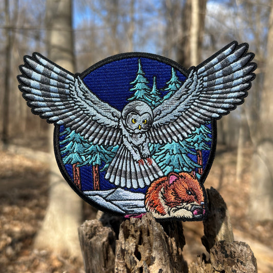 🦉Predator vs Prey- Owl🐭